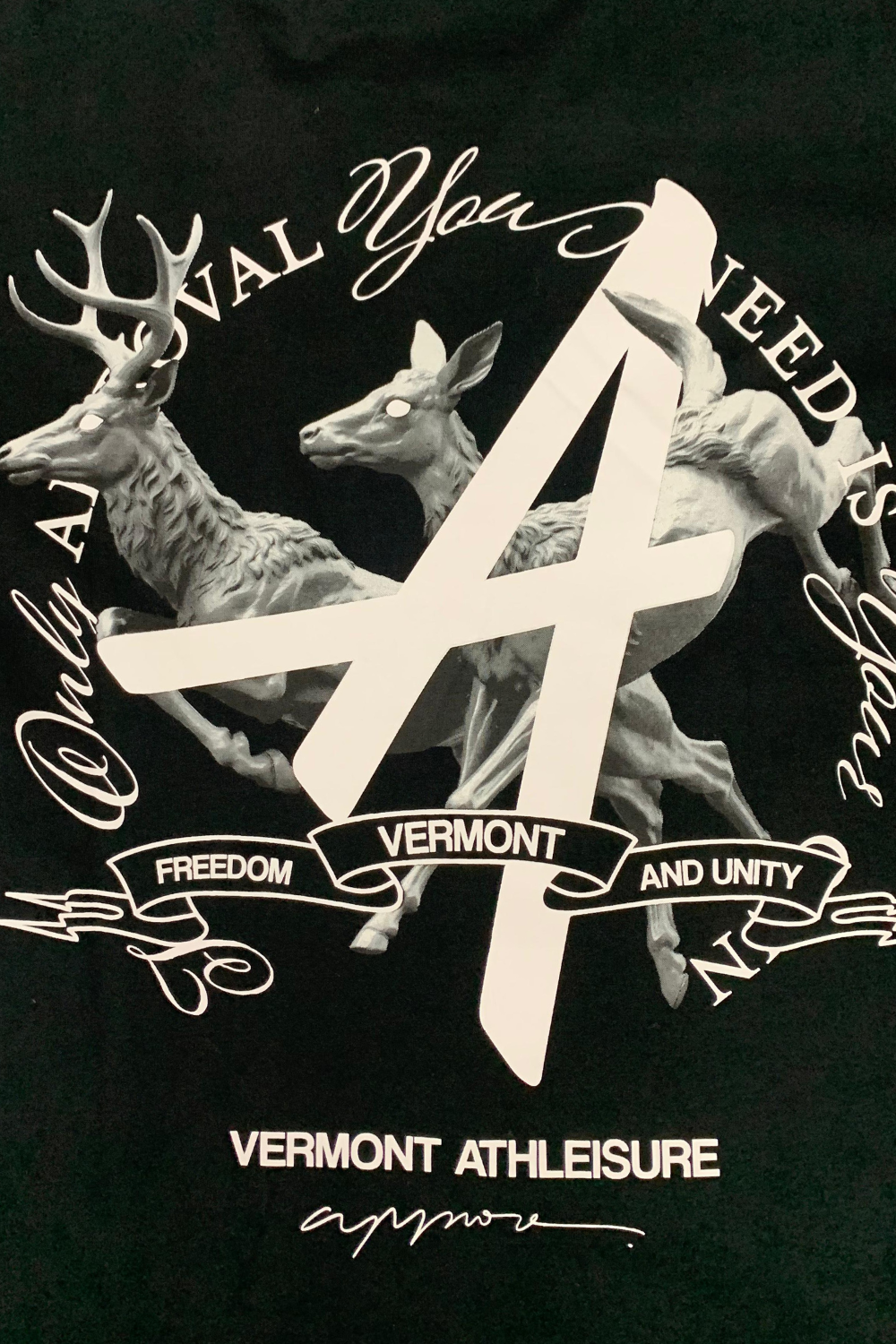 CAMISETA APPROVE HUGE VERMONT
