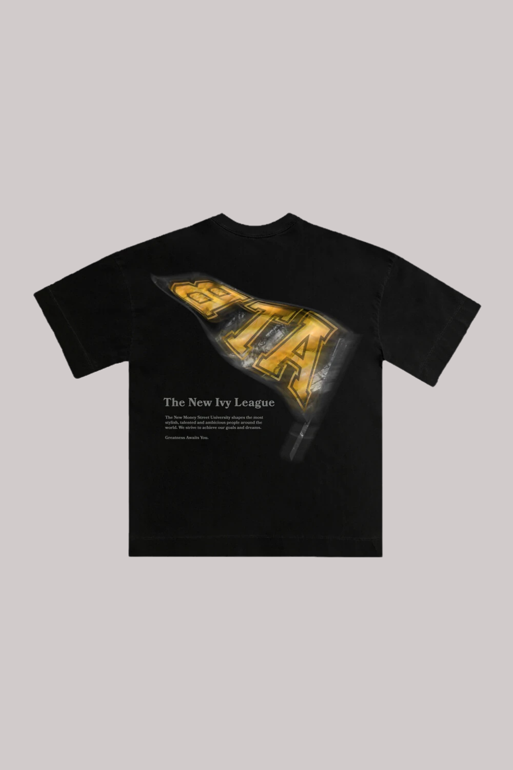 CAMISETA ALLTRIBE OVERSIZED PENNANT-NEW MONEY