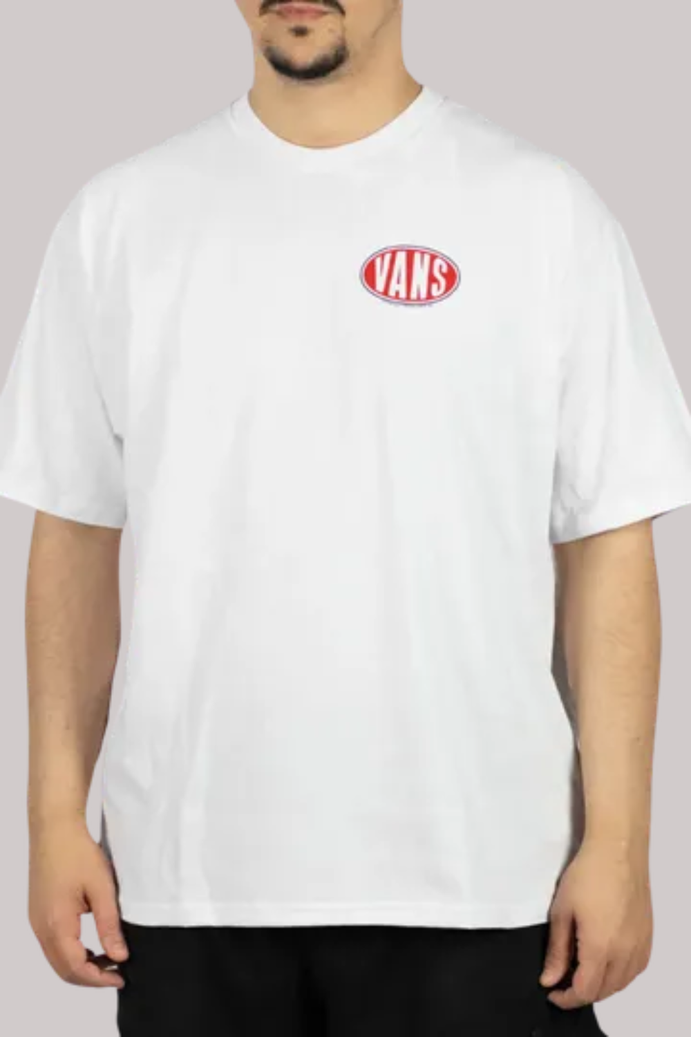 CAMISETA VANS SPRAY ON SS