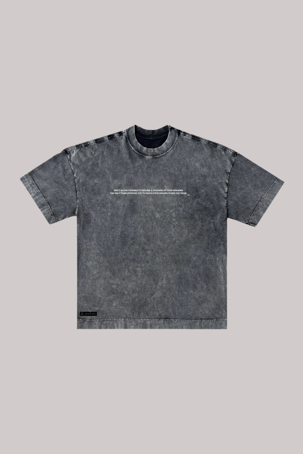 CAMISETA ALLTRIBE OVERSIZED PRISONER- NEW MONEY