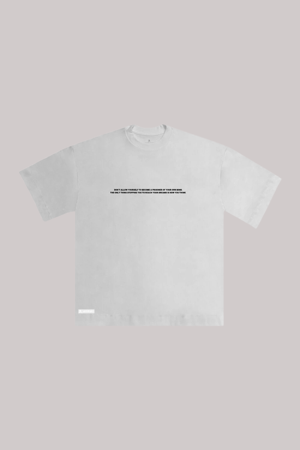 CAMISETA ALLTRIBE OVERSIZED PRISONER- NEW MONEY