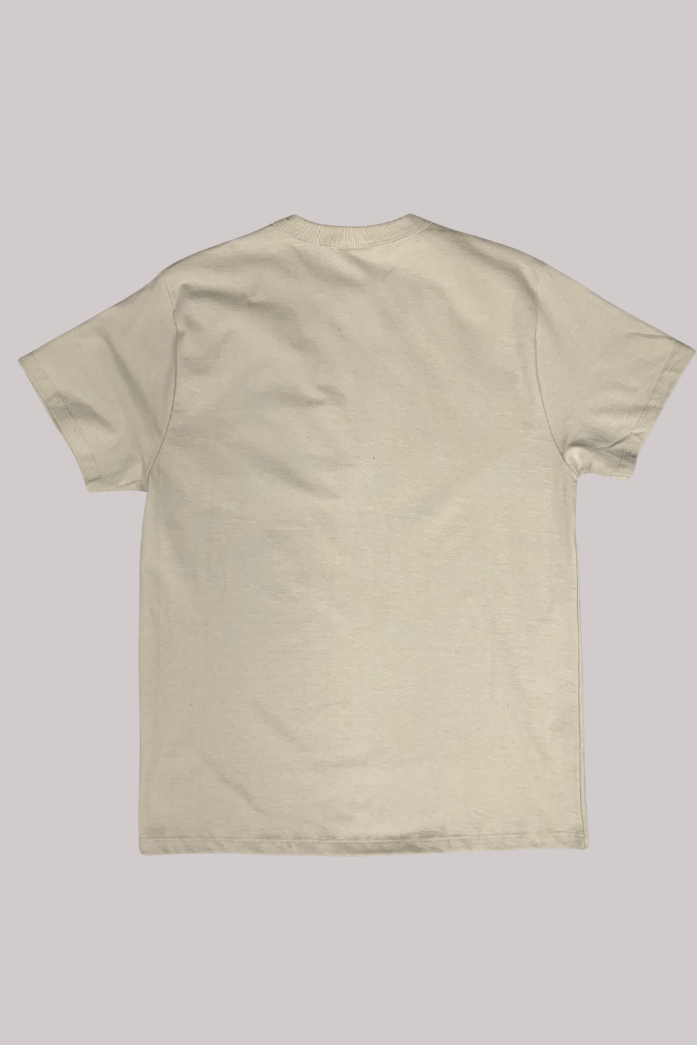 CAMISETA CHAMPION PES MC MINI LOGO EMB SCRIPT