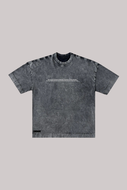 CAMISETA ALLTRIBE OVERSIZED PRISONER- NEW MONEY
