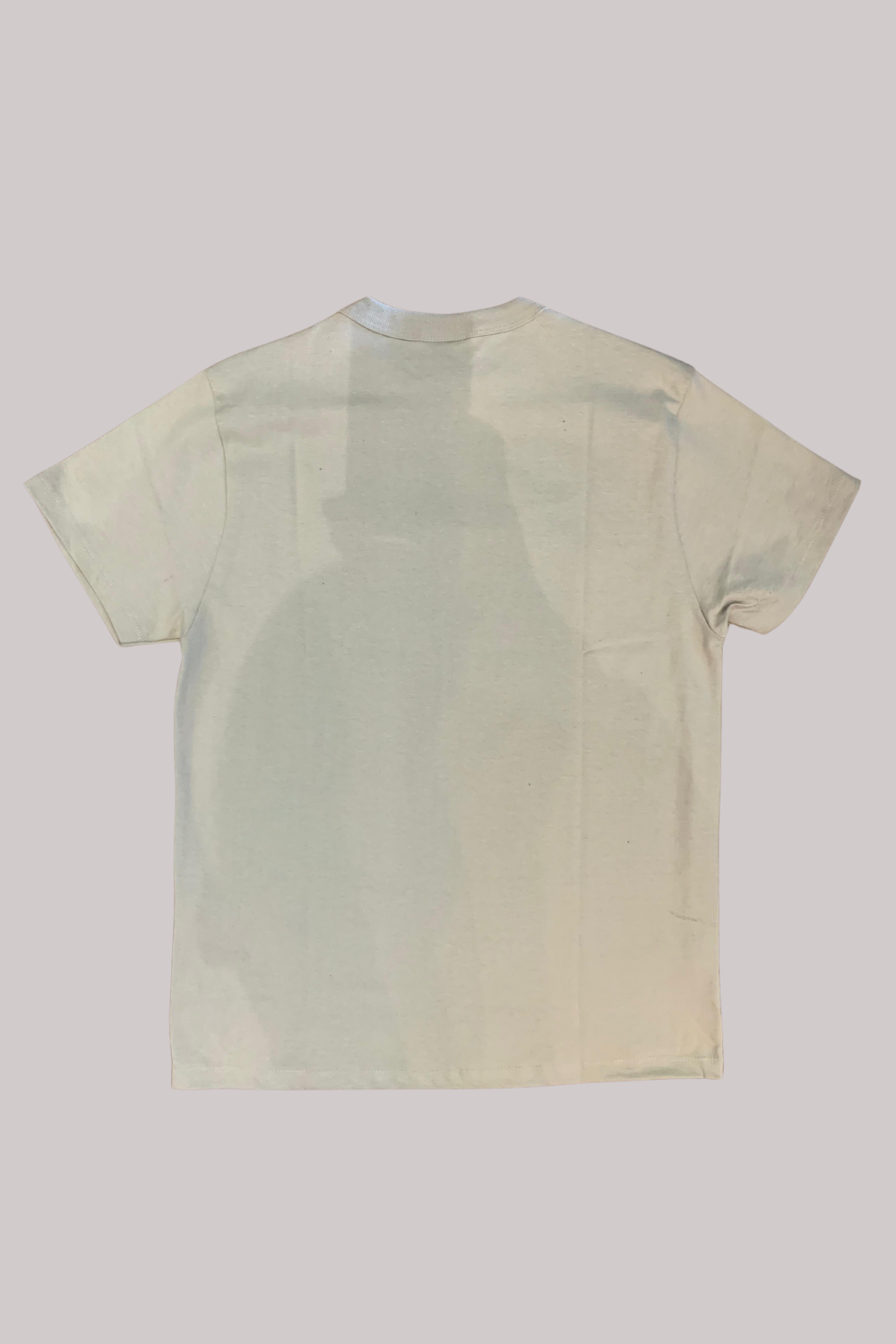 CAMISETA CHAMPION BORDADO EVA TECIDO MEIA MALHA GROSSO