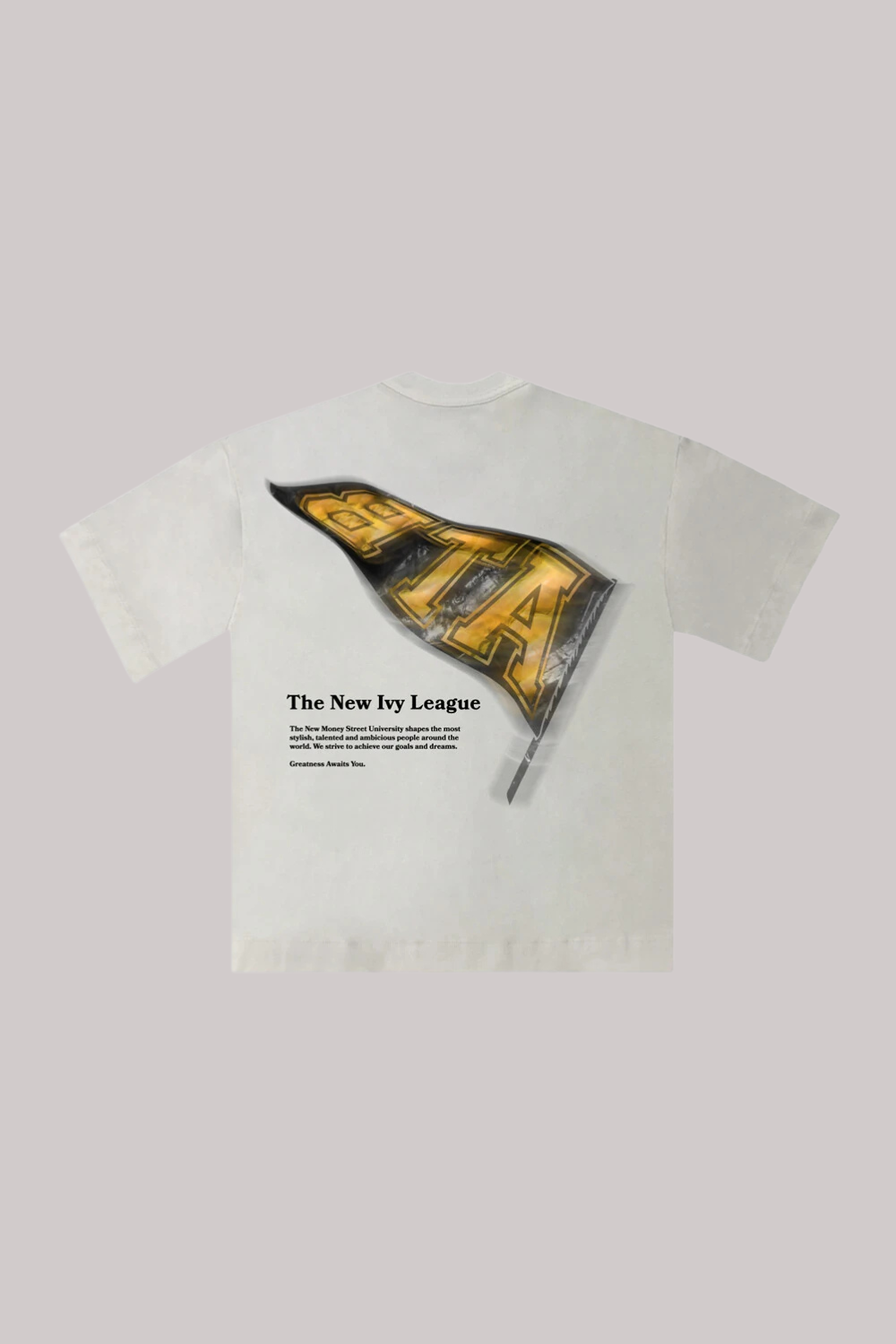 CAMISETA ALLTRIBE OVERSIZED PENNANT-NEW MONEY