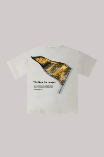 CAMISETA ALLTRIBE OVERSIZED PENNANT-NEW MONEY