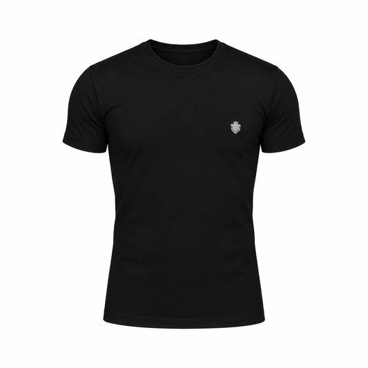 CAMISETA FB SLIM BASIC FB250100704PT
