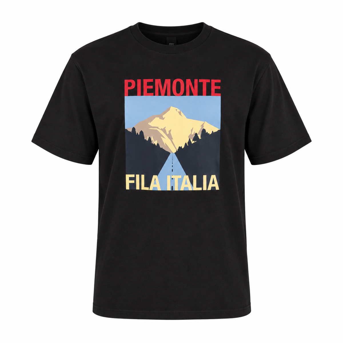 CAMISETA FILA OVERSIZED PIEMONTE F11L02134.160